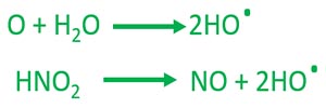 formation of hydroxyl radicals